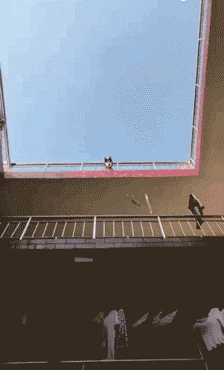 |搞笑GIF:日防夜防,损友难防,这一下恐怕半年都下不了床