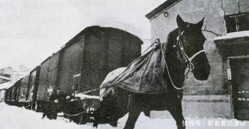 英国军|分享丨雷颐:历史最大的遗憾不是无知,而是以无知为荣