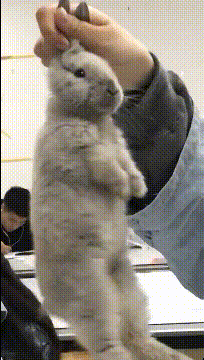 |搞笑GIF:小哥哥,你这么做,真的不怕失去女朋友吗