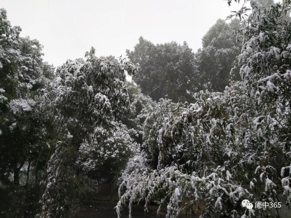 妙高镇金城山雪景图