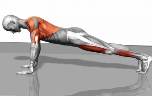 男人|长期做俯卧撑的男人,后来发生了什么
