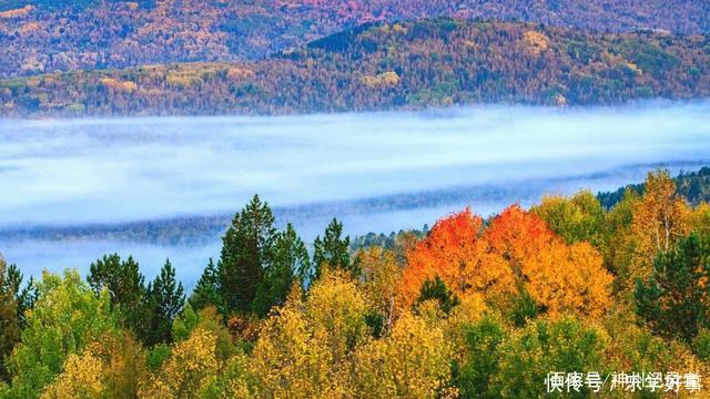 儿时的草甸是那样情趣