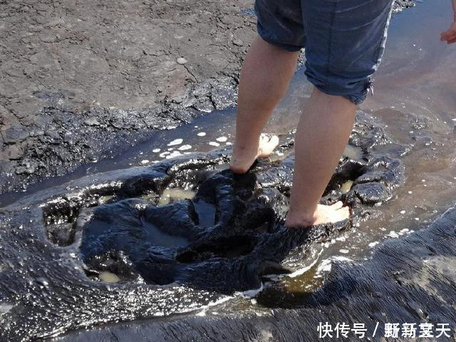 湖泊 真正的宝藏湖泊没有水,也没有鱼,但湖里的宝藏却价值千金