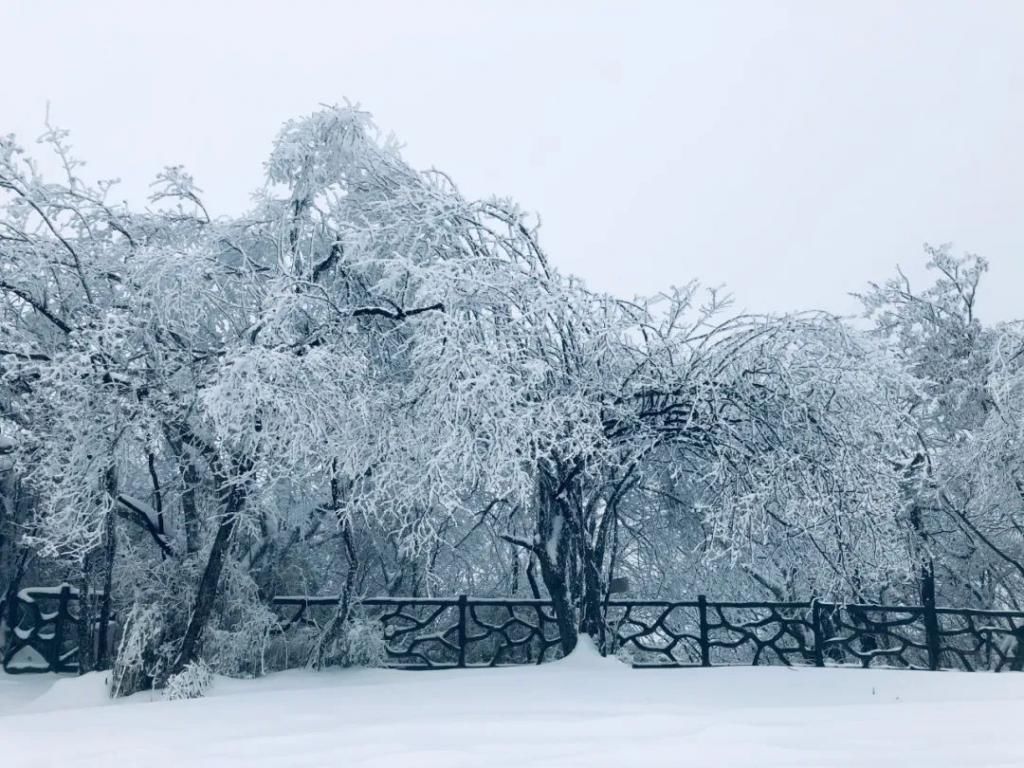 县区|初雪！周边县区雪景美图来袭！