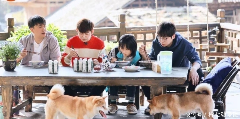 黄老师 《向往5》中的张艺兴，两期节目就撕下诸多综艺明星的遮羞布，你怎么看？