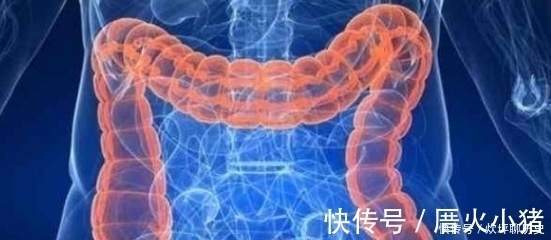 寿命|每天这两个“时间点”排便的人,说明你的寿命会很长,达标的人并不多!