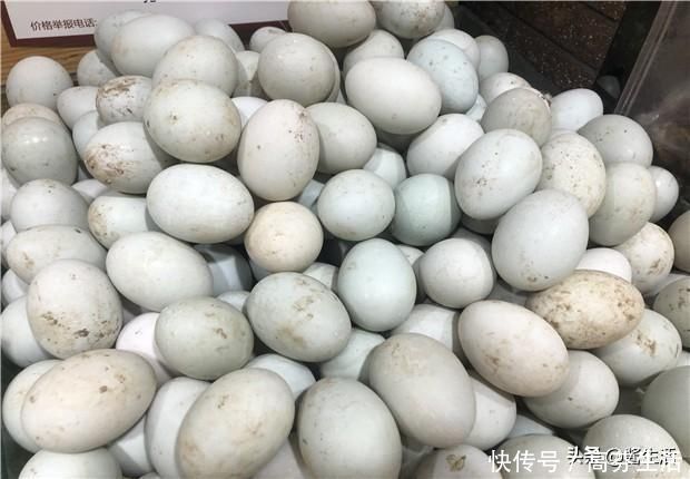 营养|鸡蛋、鸭蛋、鹅蛋哪个营养最高今天总算知道了,以后别再吃错了