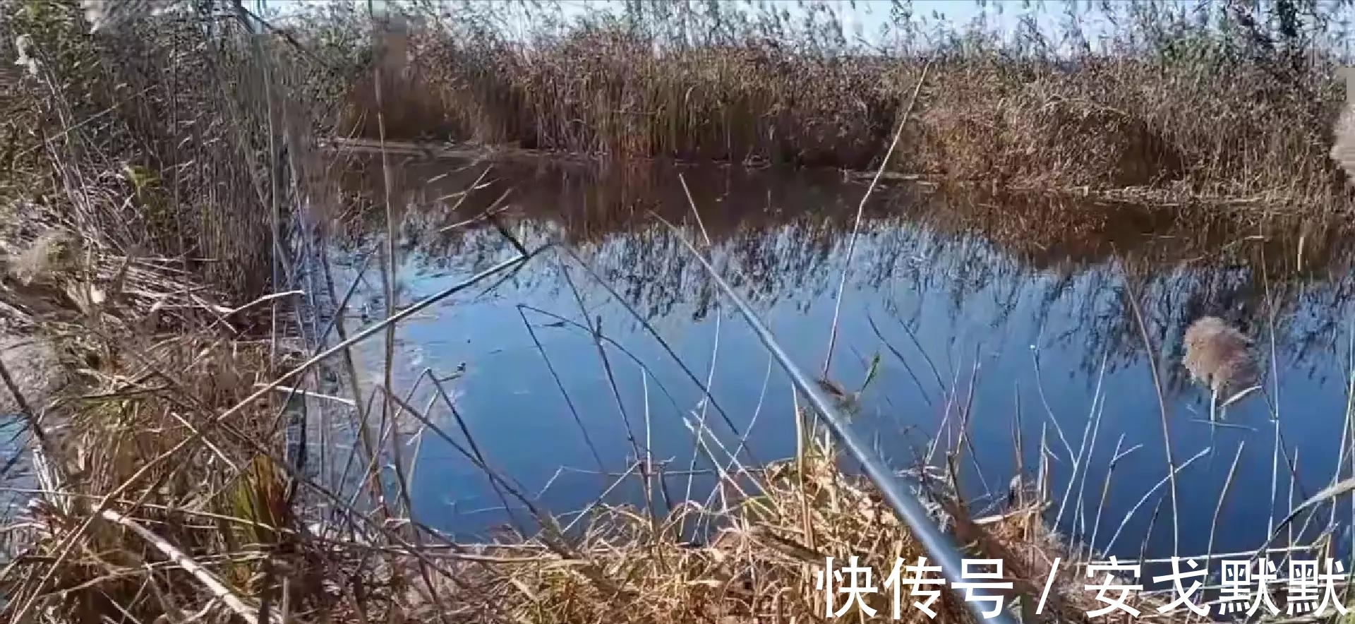 我为啥钓不过他?不是技术、窝饵的问题,答案在于他的三个做法