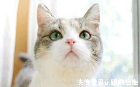 |内涵段子:出差前,在老婆包里放了一个定位仪,又在老王家