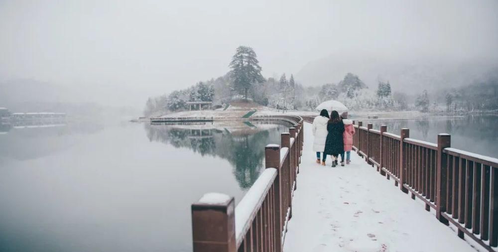 下雪|太美了！月坝下雪啦，刷爆朋友圈！