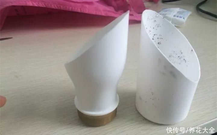 旧筷子、老干妈瓶别扔,拿来养花效果好,省下一笔养花钱