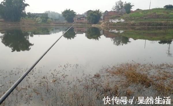冬季钓鲫鱼,传统钓更有优势,试试这种钓法,让你大鲫鱼连竿上