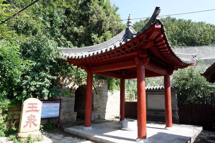 银杏树|游记｜游玉泉禅寺