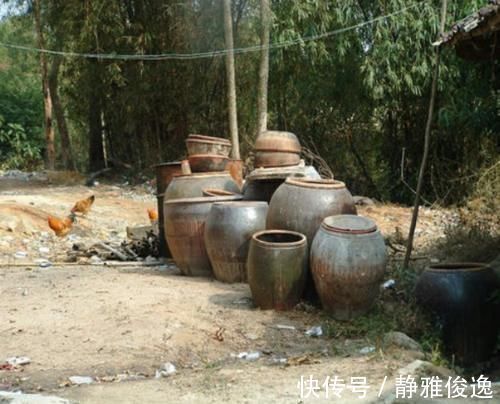 女儿|60岁老母亲驱车3千里,给女儿带来月子餐,样样都是农村的美味!