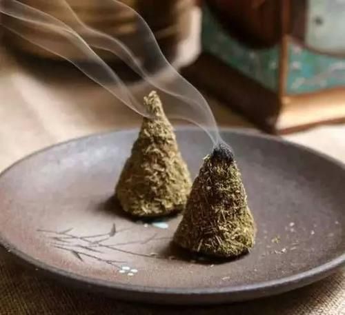 青蒿|家里花卉烂根烂叶,几种天然灭虫法,不生虫养花好