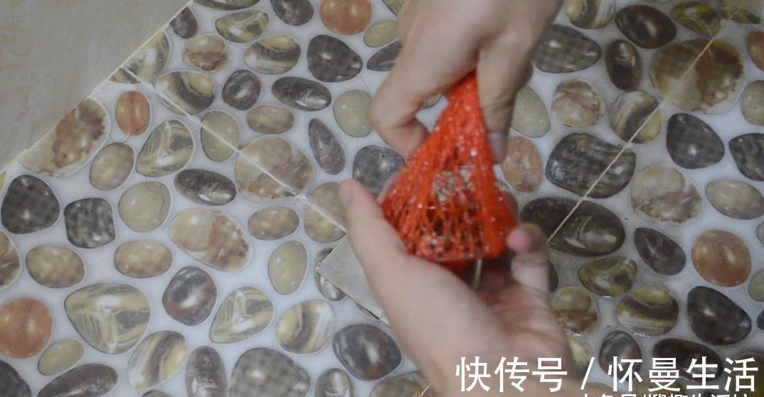 柚子网|柚子上的网套别扔掉了, 放在卫生间里有大用处, 看完你会感谢我的