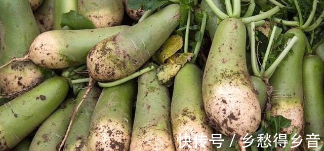 秋天这菜要多吃,维C是苹果的6倍,5毛钱一斤又不贵还能包饺子!