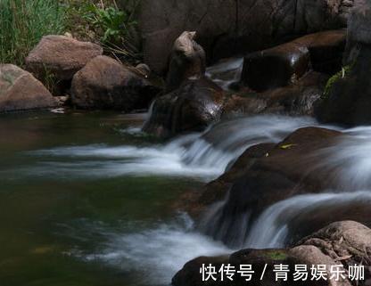 生肖鸡|这几大生肖的人生大起大落，中年必能白手起家成人生最大的赢家