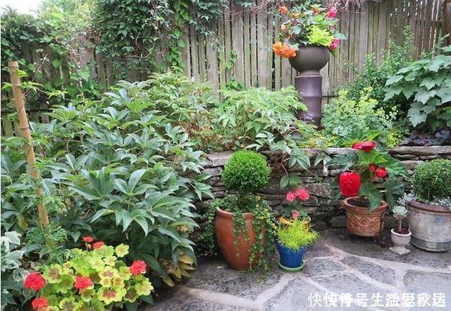 养花大爷透露这“3种料”放土里,比营养土还好用,养1盆爆1盆