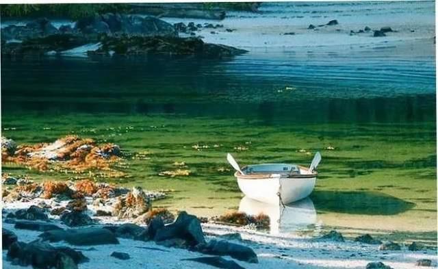 冷军|她画了一片湖水,波光粼粼,放大5倍后,专家懵了:这根本不是画