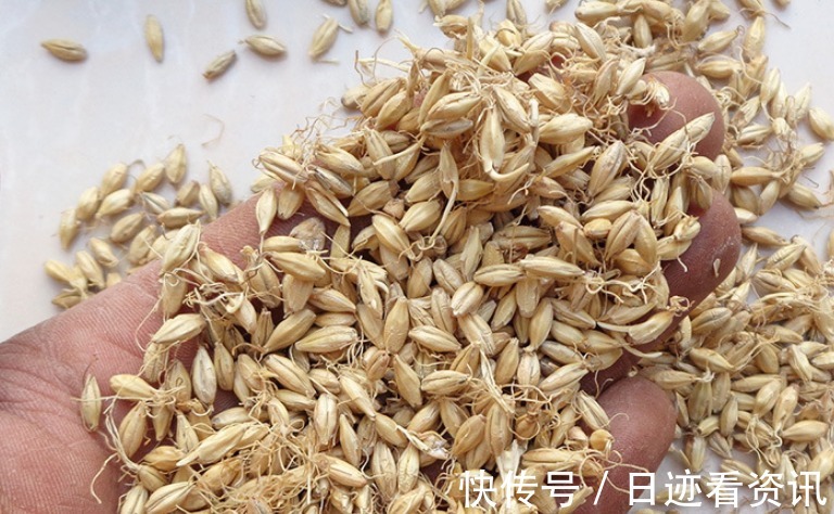 维c|吃一口等于一瓶维C,医生提醒HPV的人不妨多吃,远离宫颈癌