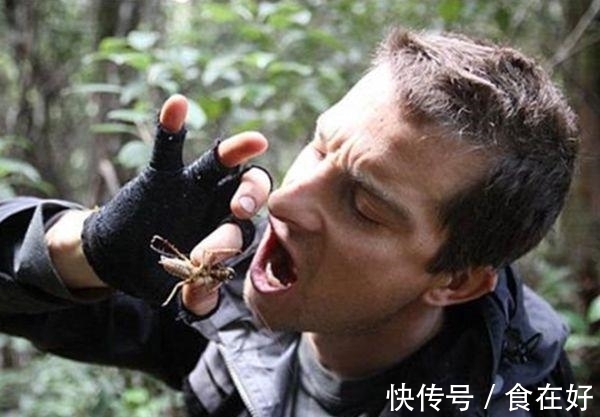 食物链|“食物链顶端”的贝爷,为何消失了?