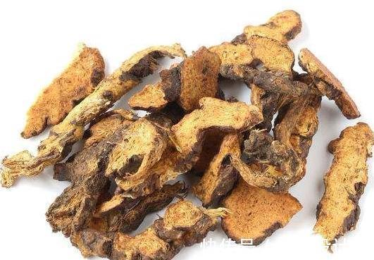 减肥|祛湿、瘦身的效果，首推几种中草药，帮助减肥全靠它们了