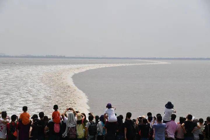 新米#明日秋分：阴阳相半，稻秀齐