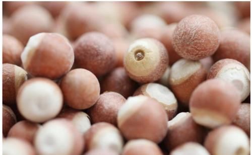 赤小豆|祛濕別再迷戀薏米紅豆！該怎樣更有效的祛濕呢？