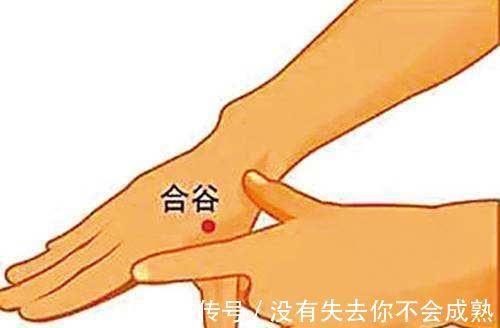 大防病|养生不花钱！8大防病祛病穴，每天按一按，从头到脚都健康