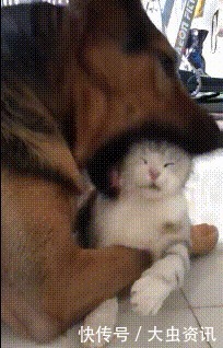 隐身|“终于知道迷彩服的重要性了,进山就隐身!”背包怎么飘了?哈哈哈