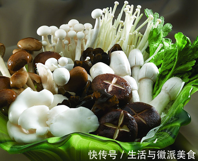 鲜味美|这里的上汤菌王娃娃菜，汤鲜味美