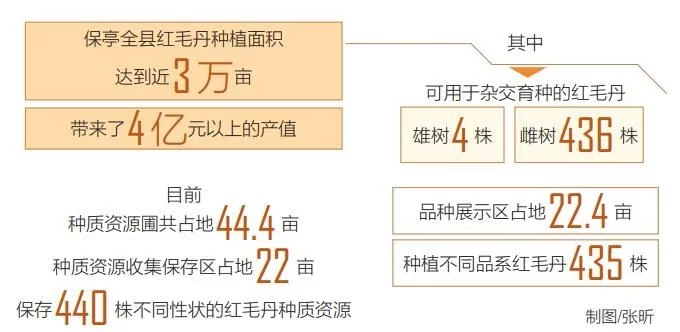 海南农垦开发利用红毛丹种植资源助推产业壮大