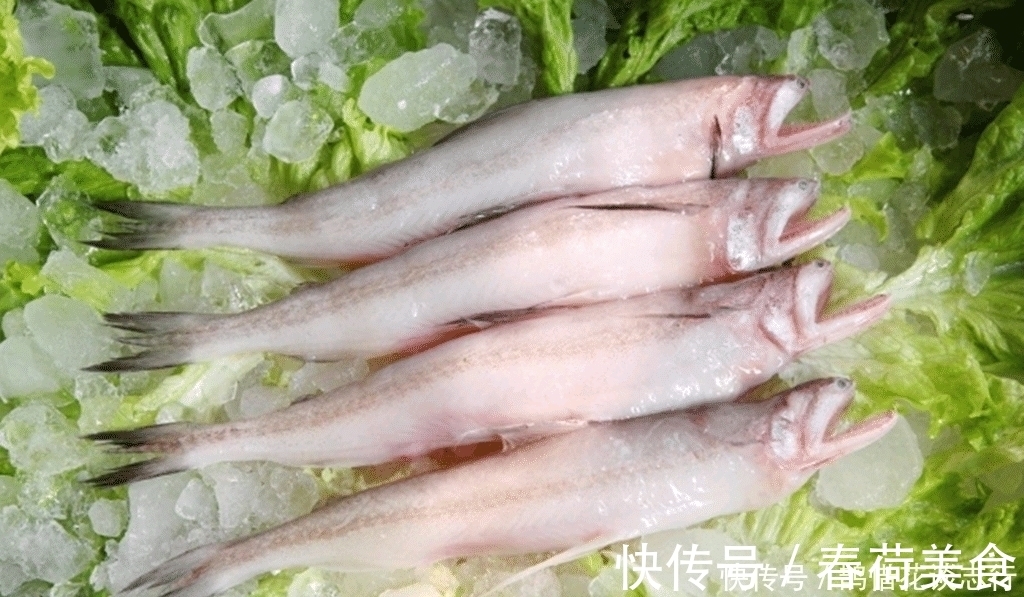 生活环境|海鲜摊位上这几种鱼是没有养殖的, 海鲜老板不一定告诉你!