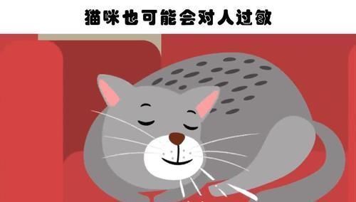 自动扶梯|你不大可能在教科书里见到的10个有趣的冷知识