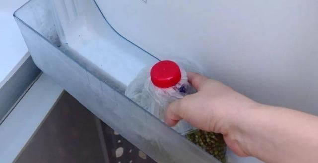 全家|塑料瓶别扔了，简单改造一下，全家抢着用