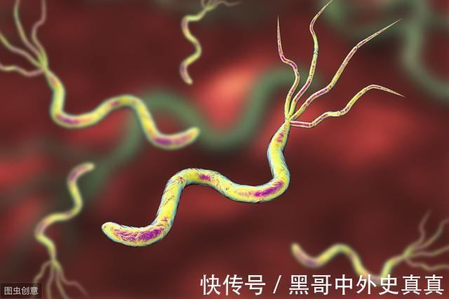 胃癌|“萎缩”是不是胃变小了,萎缩性胃炎离胃癌有多远?