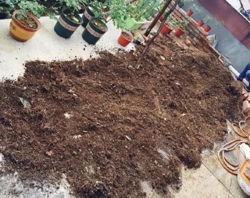 万能土|一种“万能土”,养花的人抢着挖,养兰花、君子兰杠杠滴