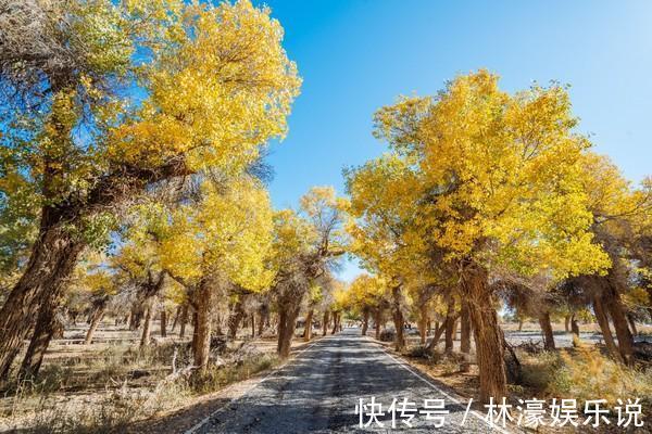 地方|告别人山人海，来这个高性价比的地方感受最美秋天！