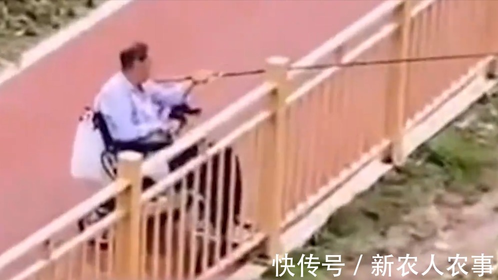 轮椅|钓鱼人！重庆一大爷坐轮椅在河边垂钓，下一秒中鱼竟自己站了起来