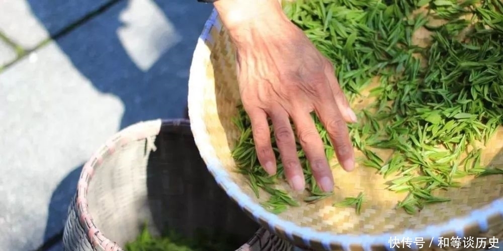 茶叶大数据!颠覆你的认知,喝不喝茶的都看看!