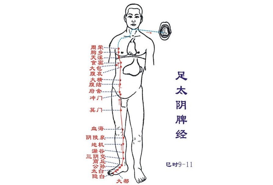 运动|脾胃不好,全身都差!一种奇怪的运动,治好了很多人的老胃病