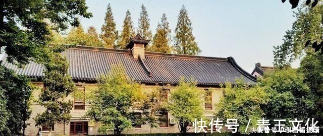 教授|这位211大学院长降阶为普通教授，为了学术理想吗？别有内情！