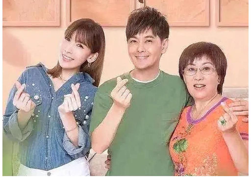 他們因?yàn)榫C藝節(jié)目而紅，也因?yàn)榫C藝節(jié)目而沒落，有人翻車撒謊離婚