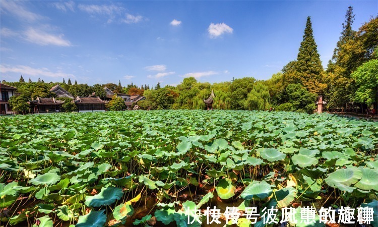 辑里湖丝|江浙沪交界，这座江南原生态古镇，没有人山人海，美得独一无二