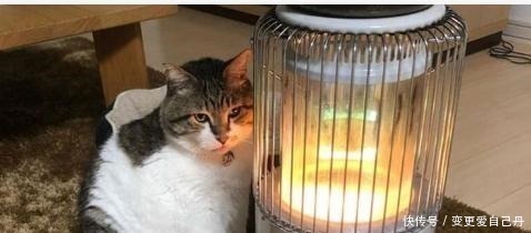 纺织品|装修师傅提醒装修时不要用以下材料,它们的含醛量不低!