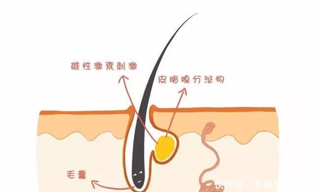 屏障|老生常谈：“补水”毁了多少好皮肤？面膜敷得少，皮肤会更好