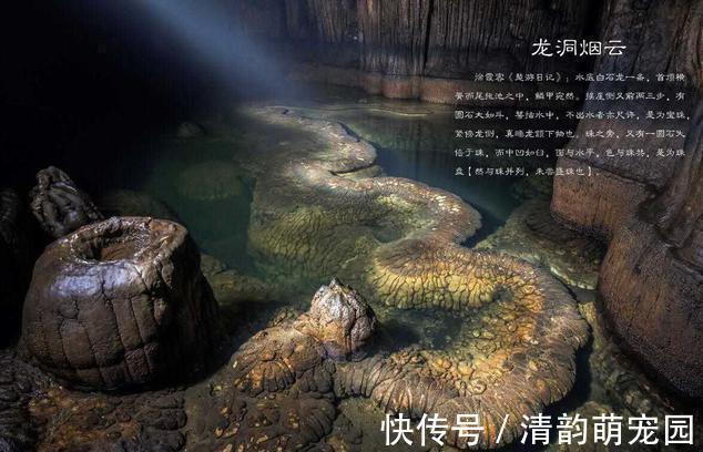 刘媪#“真龙”现世,长近13米,最粗处达6米,专家:至少存在了上亿年