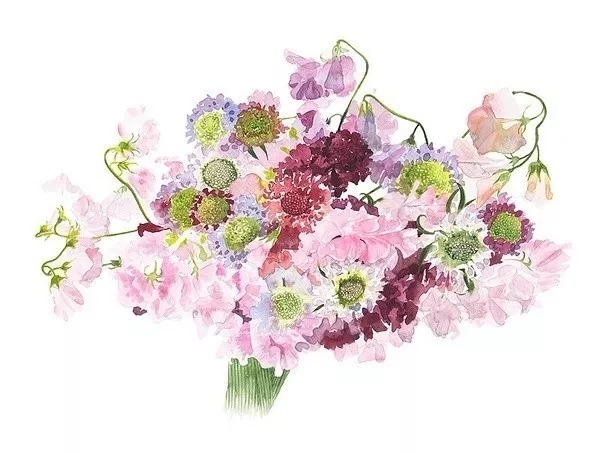 静物#日本柘植彩子Ayako Tsuge的花卉静物水彩画作品