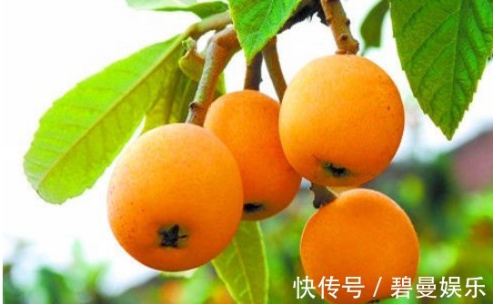 增强体质|女性想要皮肤好,常吃4种食物,排毒燃脂,清理肠胃,甩掉小赘肉